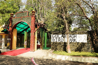 Bird Park at Gulab Bagh